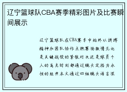 辽宁篮球队CBA赛季精彩图片及比赛瞬间展示