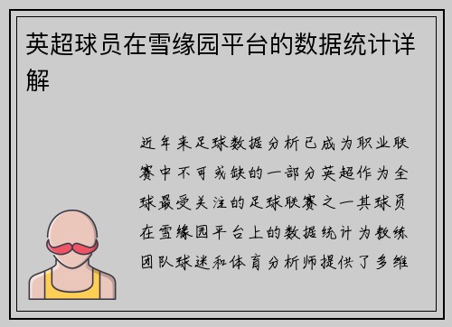 英超球员在雪缘园平台的数据统计详解